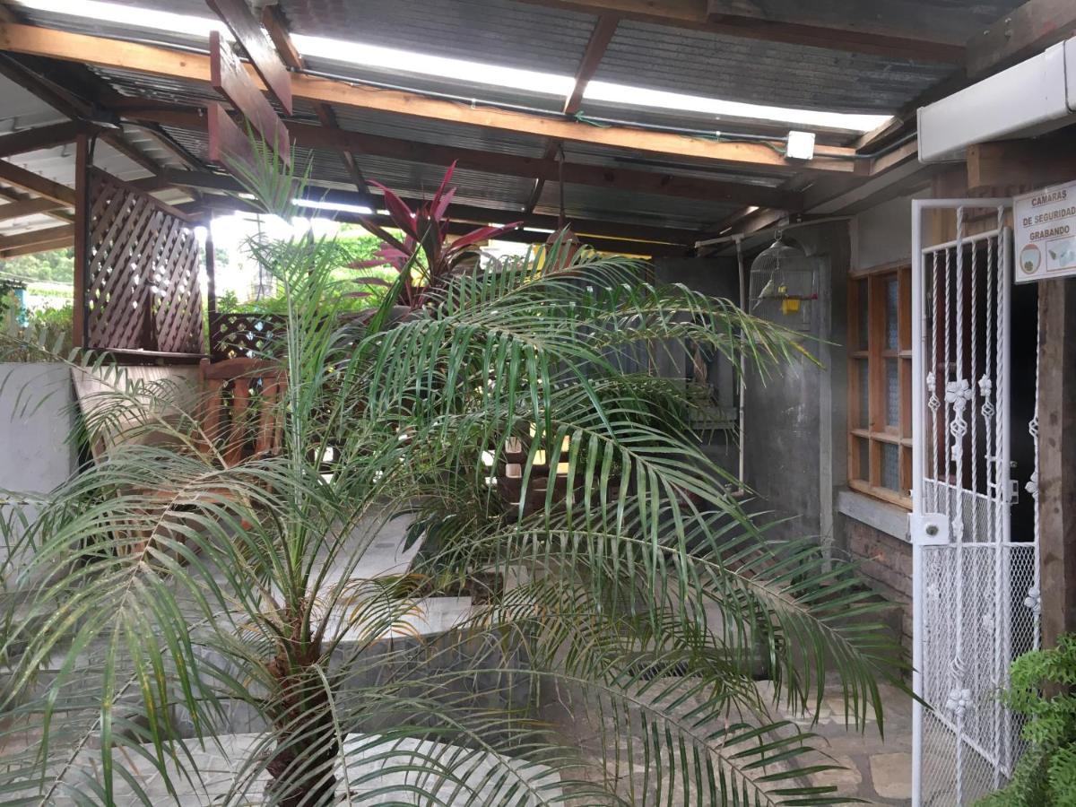 Hostel Julieta Rivas Kültér fotó
